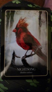 IMG_20170703_173320671