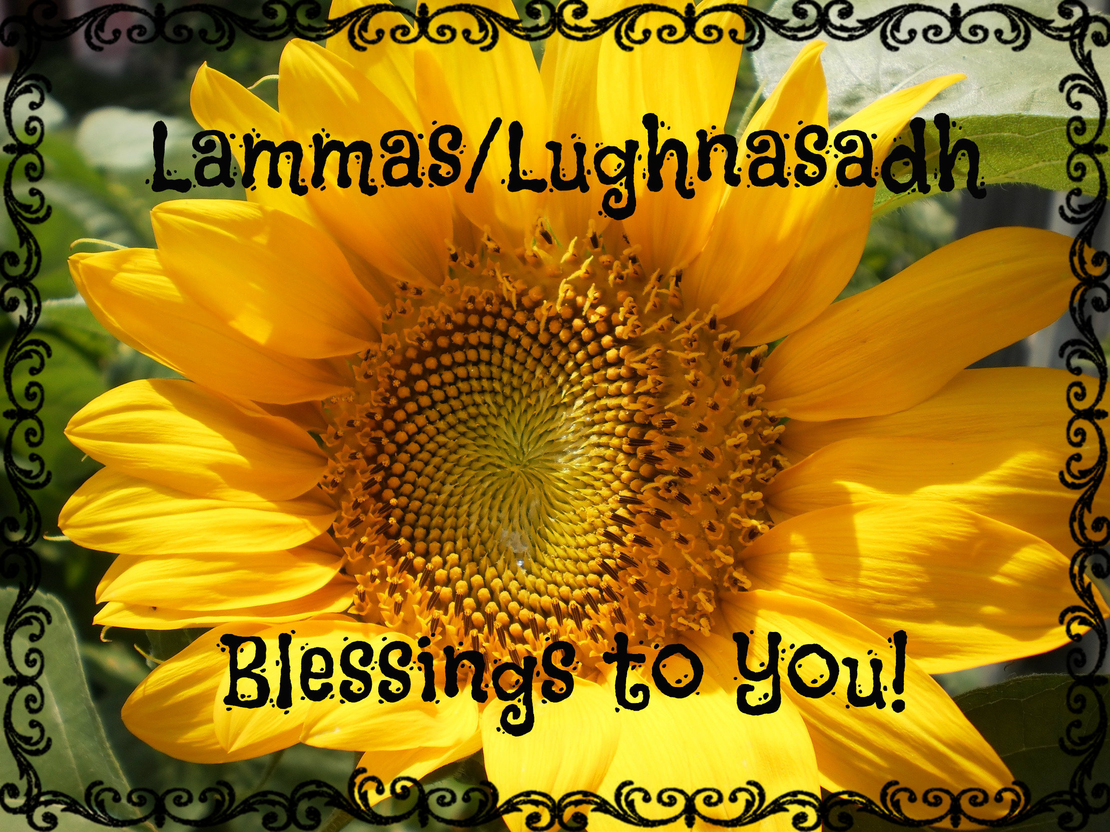 lughnasadhblessingstoyou (1)