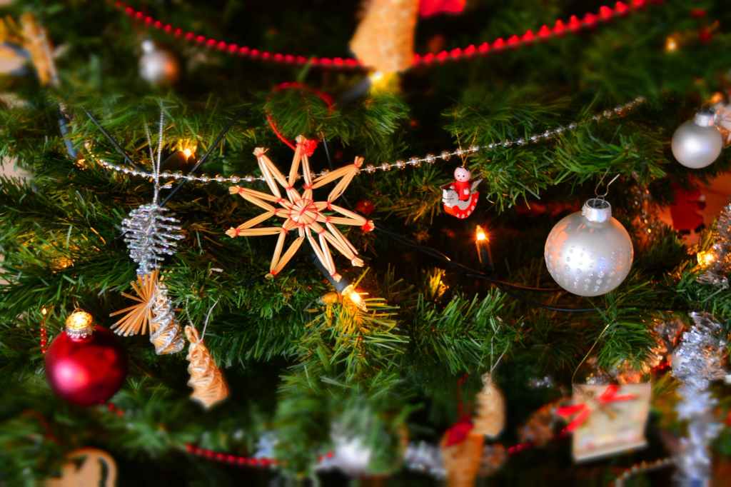 On the First Day of&nbsp;Blogmas…