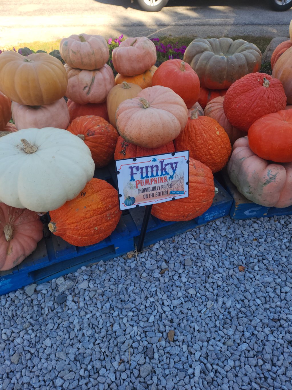 October 9 – Fall Adventure on the way to a Bridal&nbsp;Shower